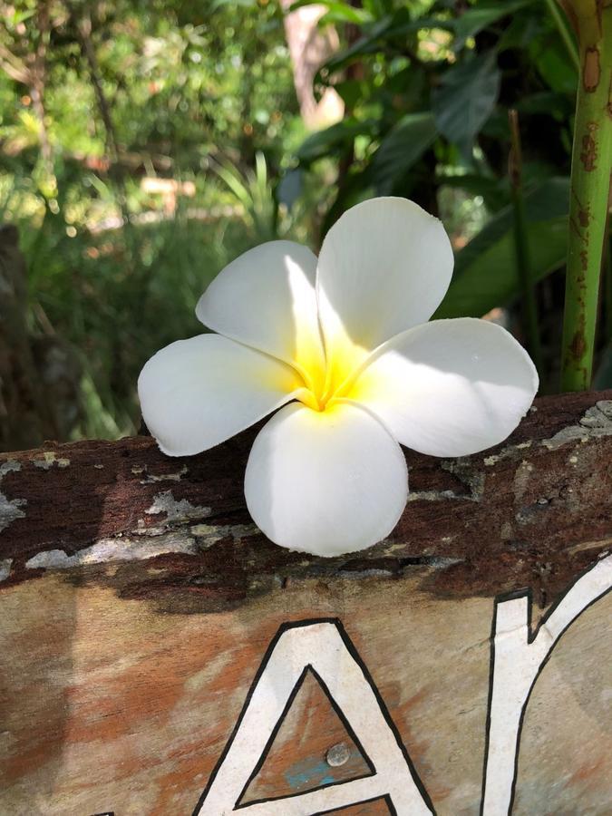 Good Karma Villa Bentota Kültér fotó